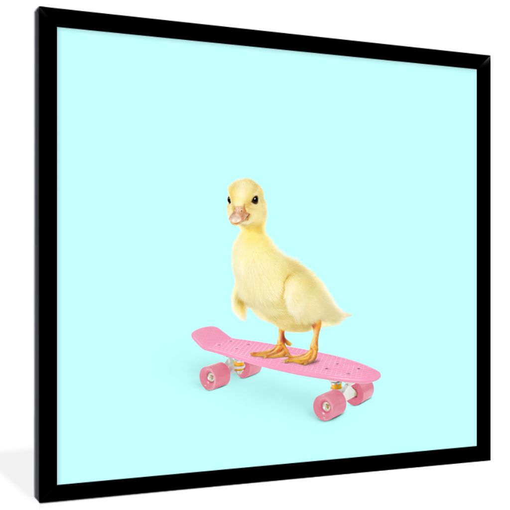 MuchoWow Gerahmtes Poster Ente - Küken - Skateboard - Blau - Rosa 40x40 cm - Poster mit Schwarzem Bilderrahmen Wandposter Rahmen Foto Bilder - M...