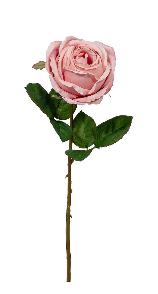 Fink ROSE, Kunstblume, Kunstfasern, rose, L. 1 cm, B. 8 cm, H. 46 cm Höhe: 46.00 cm Breite: 8.00 cm Tiefe: 0.50cm 180026