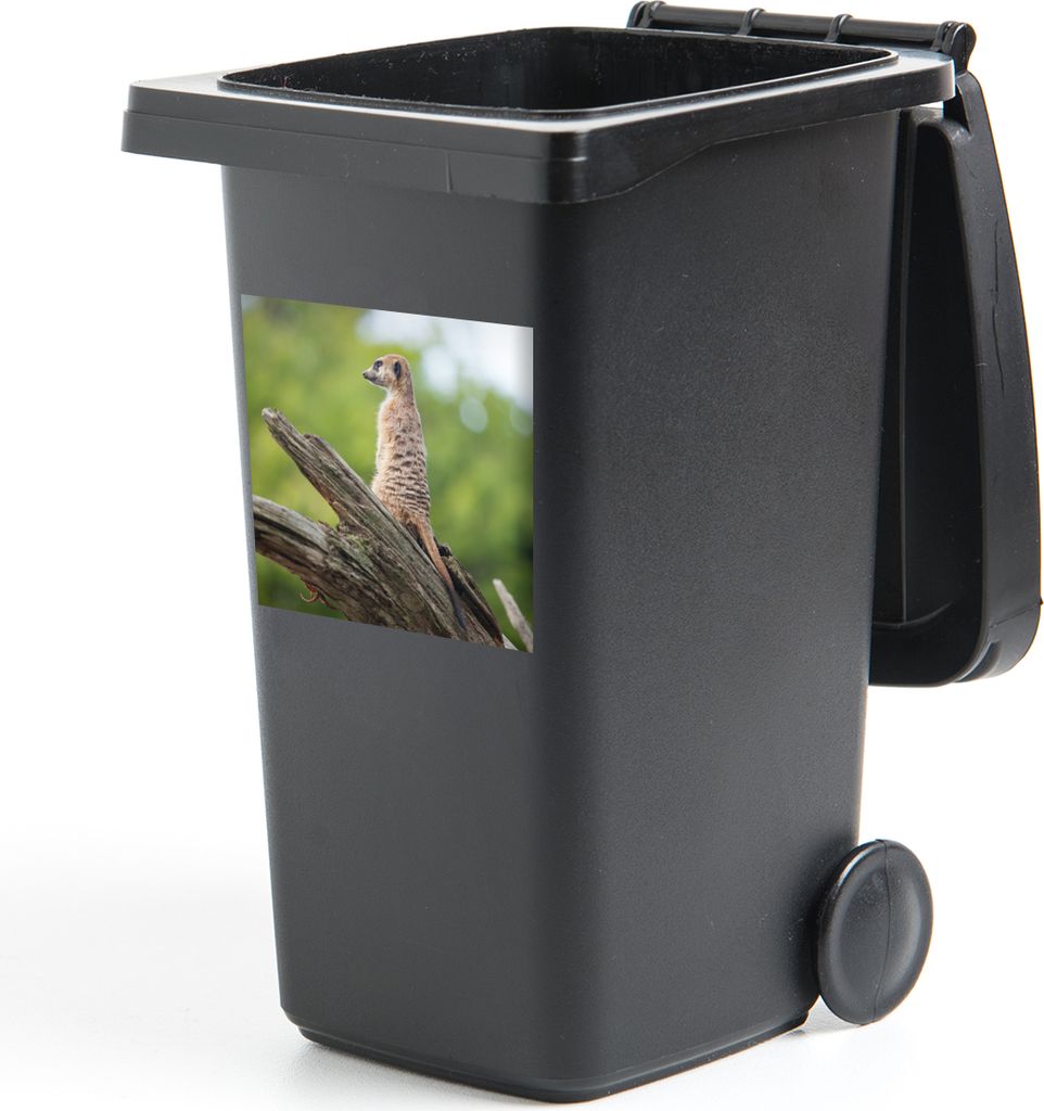 MuchoWow Mülltonnenaufkleber Erdmännchen - Ast - Baum 40x40 cm - Abfall-Aufkleber - Container - für Abfallcontainer