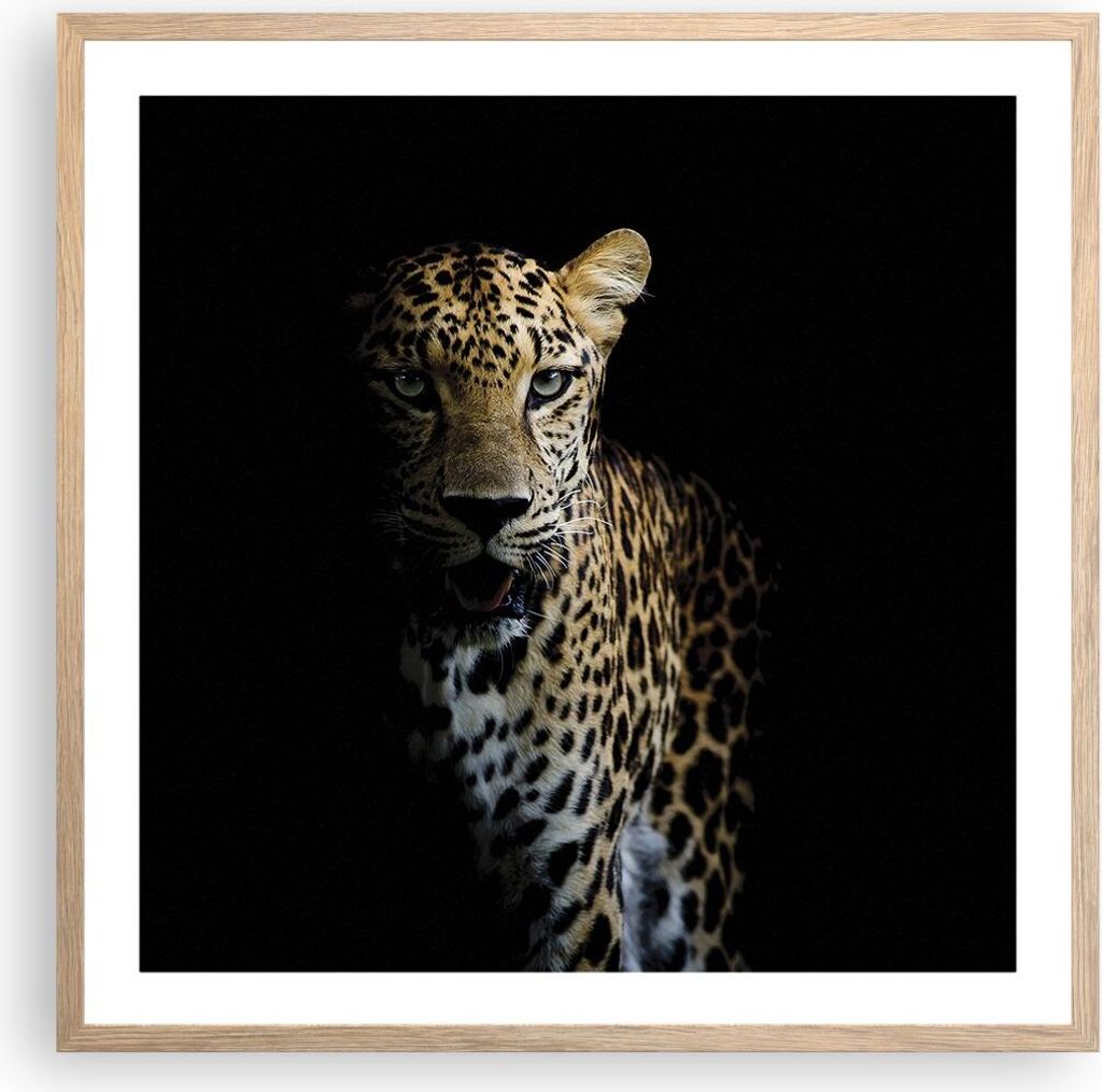 Gerahmtes Poster - Rahmen in heller Eiche - Schattig Leopard Panther - 60x60 cm - Wand Bild - Wanddeko - Wandbilder - Kunstposter - Wandposter - Bi...
