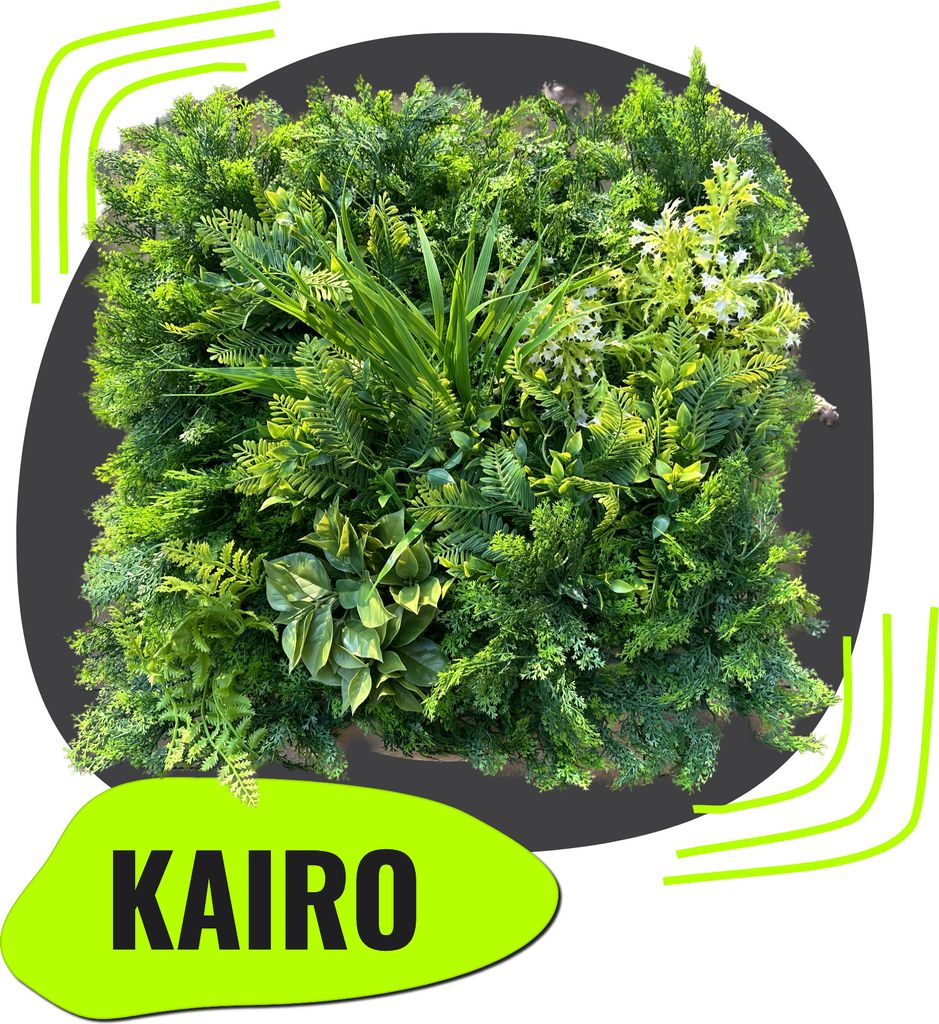 GeckoWall "KAIRO" | Premium Dschungel Farn Pflanzenwand | Produktbild 