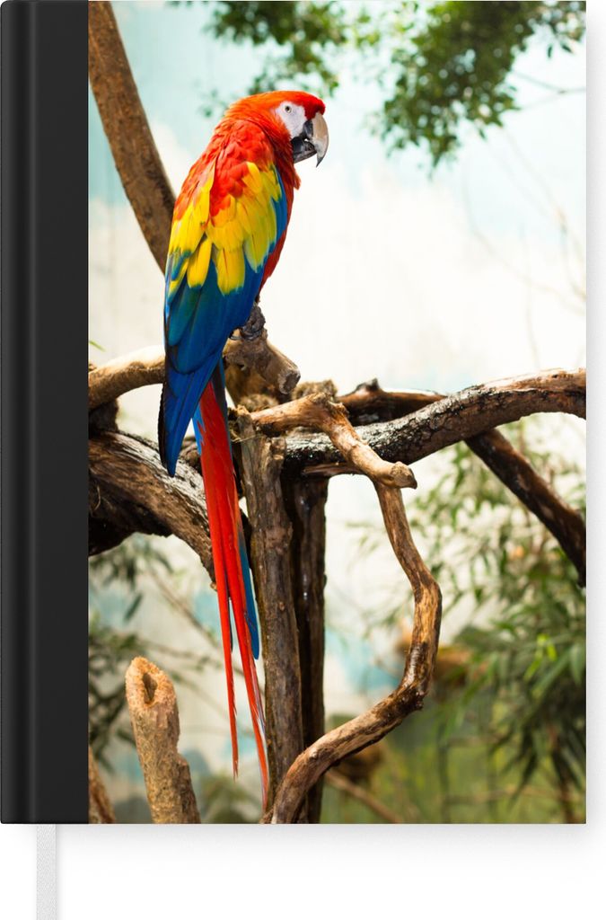 MuchoWow Notizbuch Tagebuch Haushaltsbuch Notebook A5 Papagei - Vogel - Regenbogen - Tropisch - Notizblock - Notizheft - Notebook - Schreibblock ...