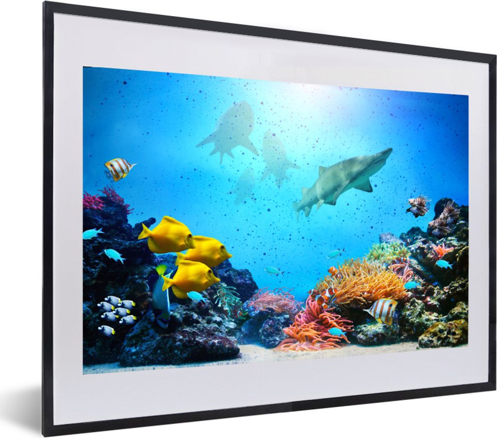 MuchoWow MuchoWow Gerahmtes Poster Meer - Fische - Korallen 60x40 cm - Poster mit zchwarzem Bilderrahmen - Schlafzimmer - Plakat in Rahmen - Dr...