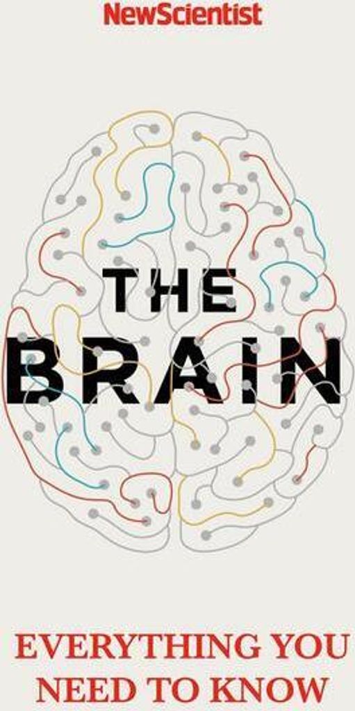 The Brain
