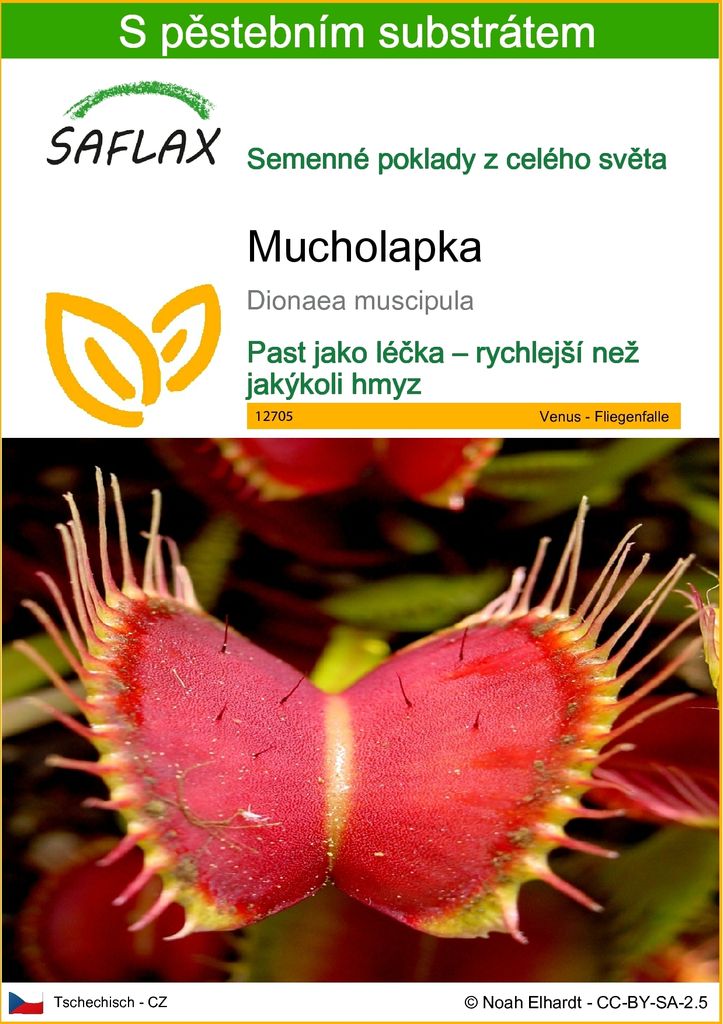 SAFLAX - Mucholapka - Dionaea muscipula - 10 Semena - S Obrázek produktu 