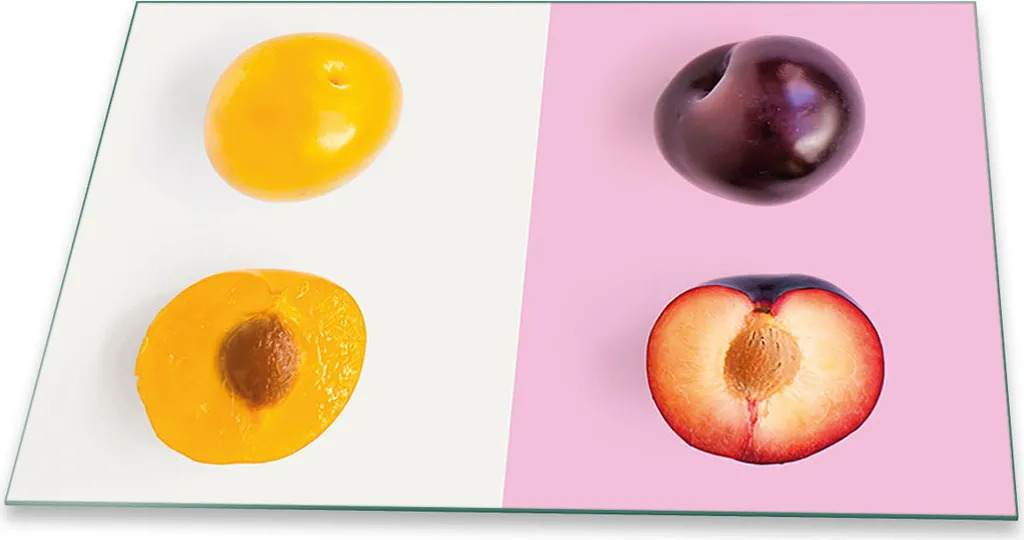 Copri Fornelli 80x52 Vetro Frutta - Glow Up per la Tua Cucina