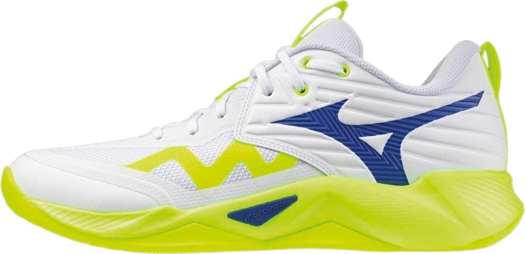 Mizuno Wave Momentum Pro Hallenschuhe Herren