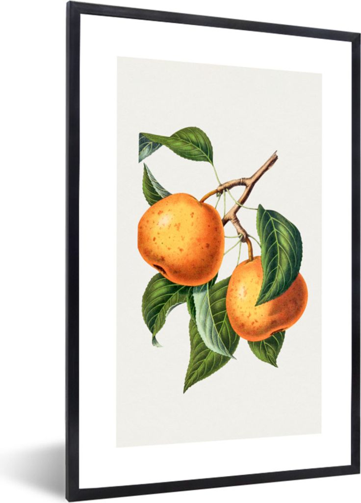MuchoWow Gerahmtes Poster Früchte - Blätter - Lebensmittel 40x60 cm - Poster mit Schwarzem Bilderrahmen Wandposter Rahmen Foto Bilder - Papierd...