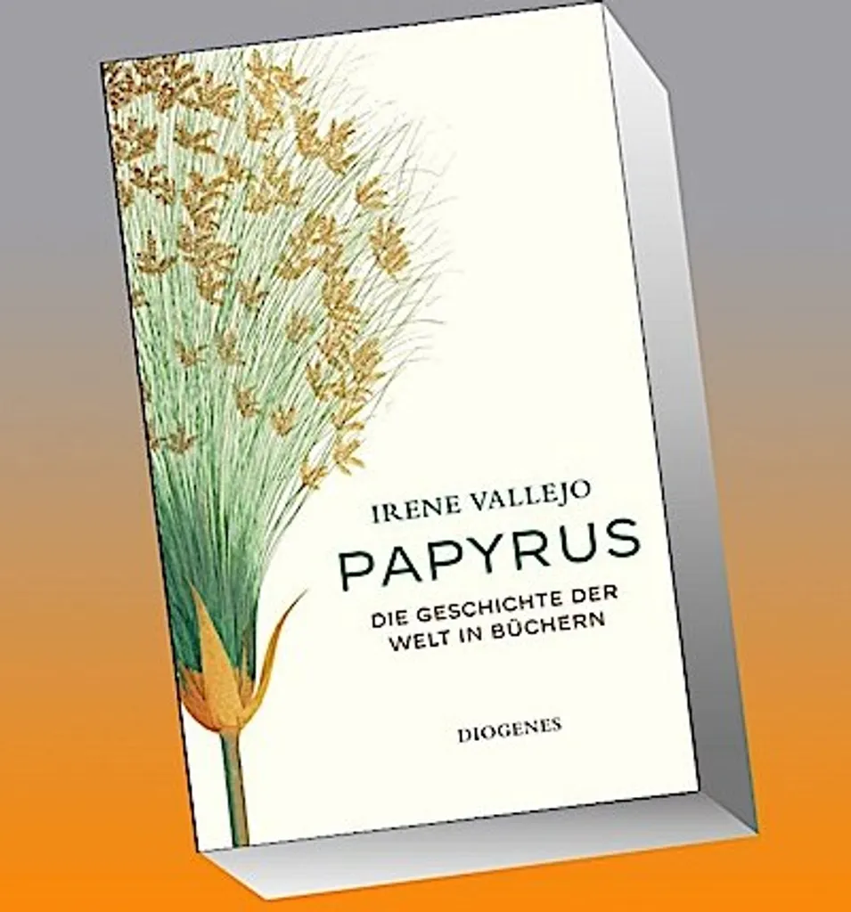 Papyrus Égyptien Véritable - Rouleau de Papier Artisanal 20x30 cm