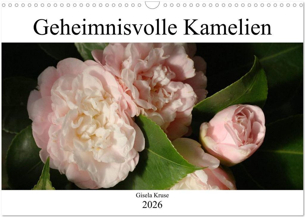 Geheimnisvolle Kamelien (Wandkalender 2026 DIN A3 quer), CALVENDO Monatskalender