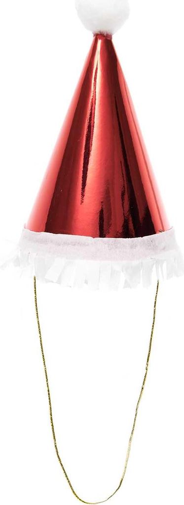 Mini-Partyhüte Weihnachtsmann,MIX