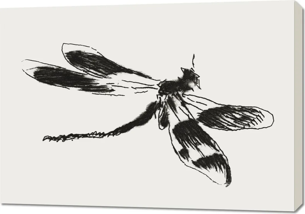 Aménager votre Salon avec le Tableau Dragonfly Manet 100 x 70 cm