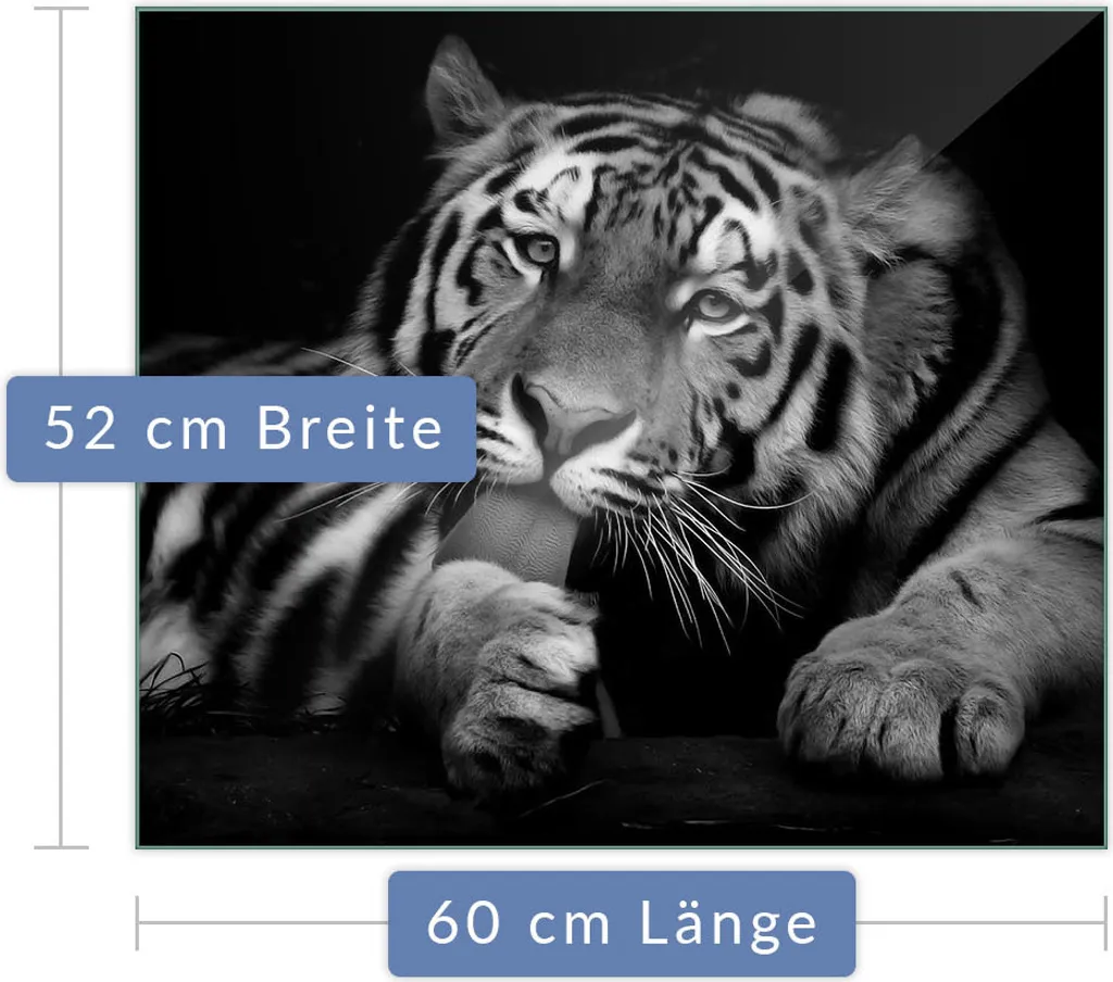Copri Piano Cottura Vetro 60x52 Universale | Protezione Deco Tiger