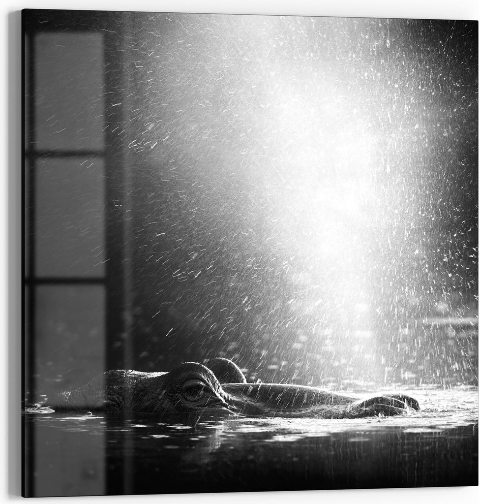 DEQORI Glasbild Echtglas 50x50 cm 'Lichtspiel am Fluss' Wandbild Bild modern Deko