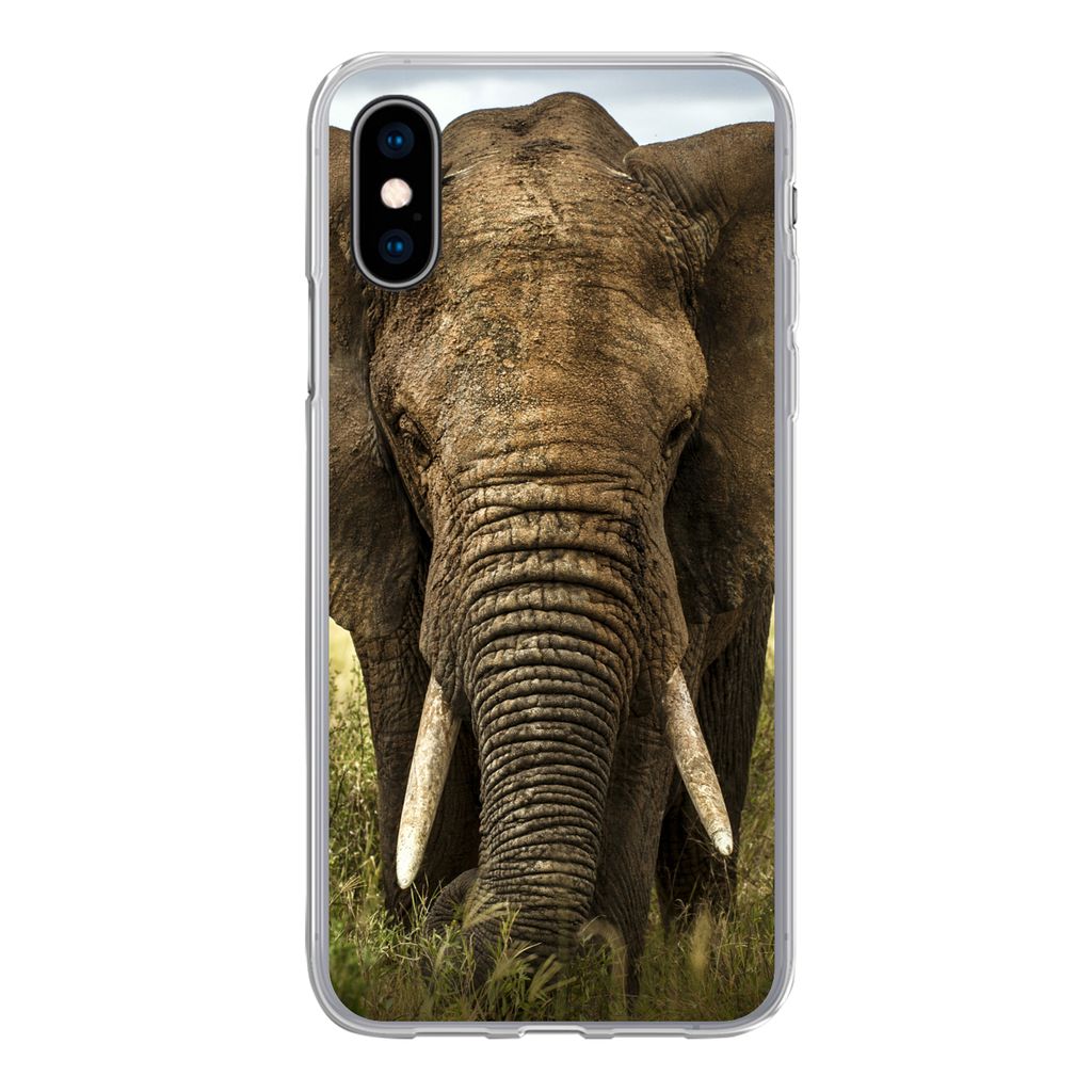 MuchoWow Handyhülle Schutzhülle Hülle für iPhone X Elefant - Natur - Gras - Tiere - Landschaft Silikon Softcase Handy Hülle - Handyhülle