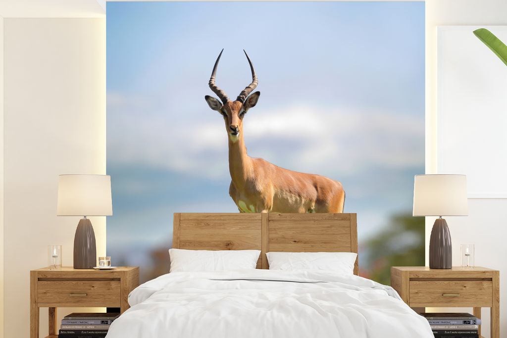 MuchoWow Fototapete für Wohnzimmer oder Schlafzimmer Wandtapete Vinyl Motivtapete Gazelle - Grün - Gras - 220x240 cm - Wohnzimmer-Tapete