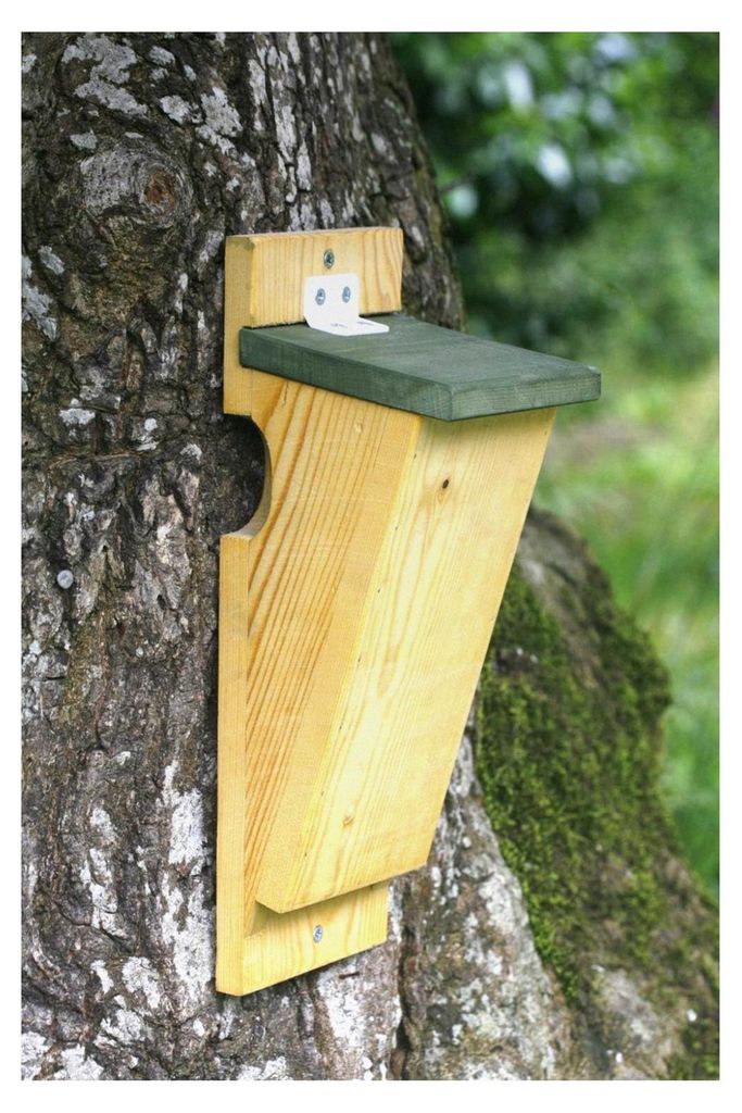 Nistkasten für Baumläufer – wetterfester Vogelnistkasten aus Holz – optimierter Zugang vom Baumstamm – effektive Drainage gegen Feuchtigkeit