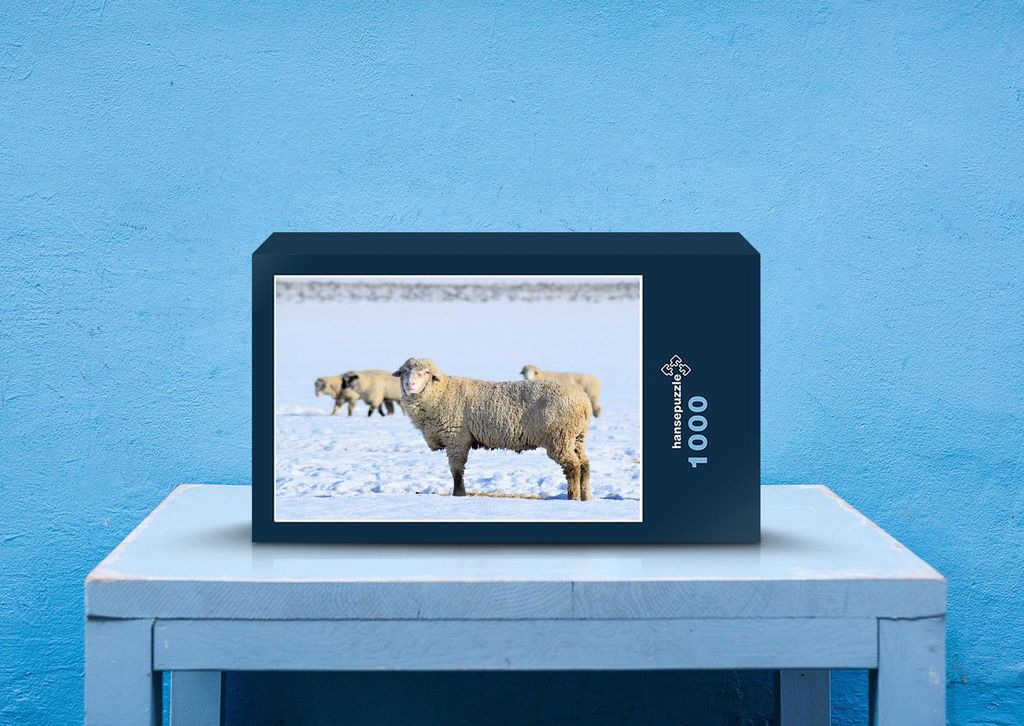 hansepuzzle 42768 - Schaf Puzzle, 1000 Teile, Tierwelt, 60,0 x 46,0cm mit hochwertiger Aufbewahrung, Kartonbox und wiederverschließbarem Beutel