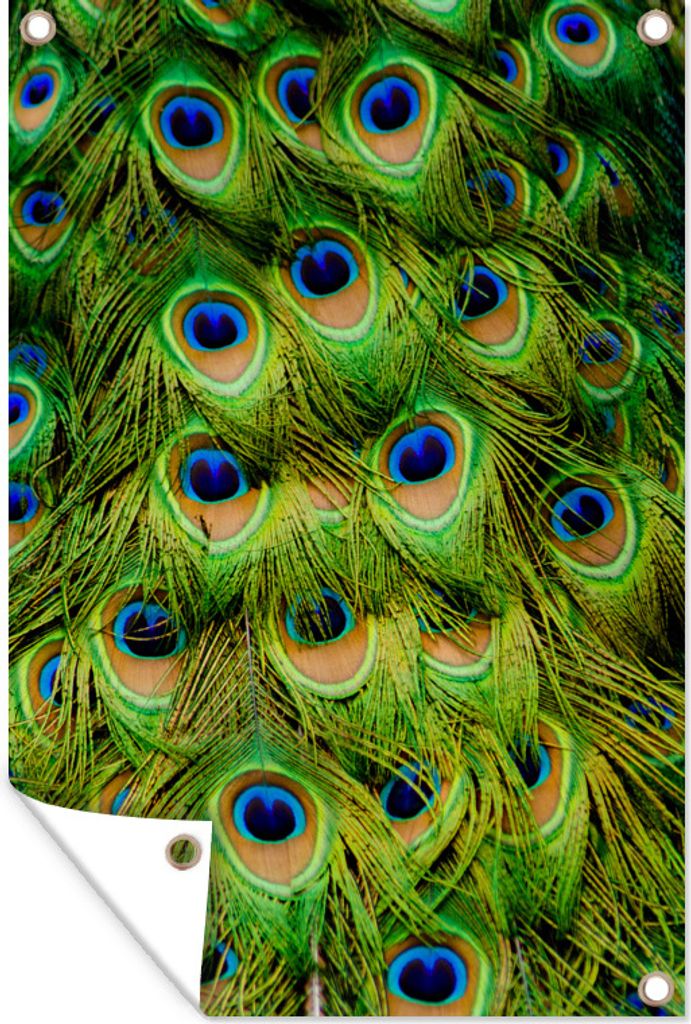 MuchoWow 40x60 cm Outdoor-Poster Gartendeko Sichtschutz Garten Poster für den Garten Struktur der Pfauenfedern