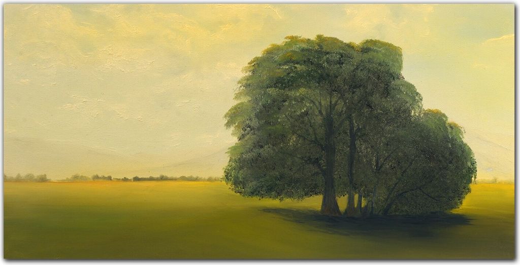 Coloray Bild aus Acryl 140 cm x 70 cm - Wanddekoration Wohnzimmer Bild auf Acrylglas Gehärtetes Acryl Dekoration Küche - Malerei Baum Himmel Feld