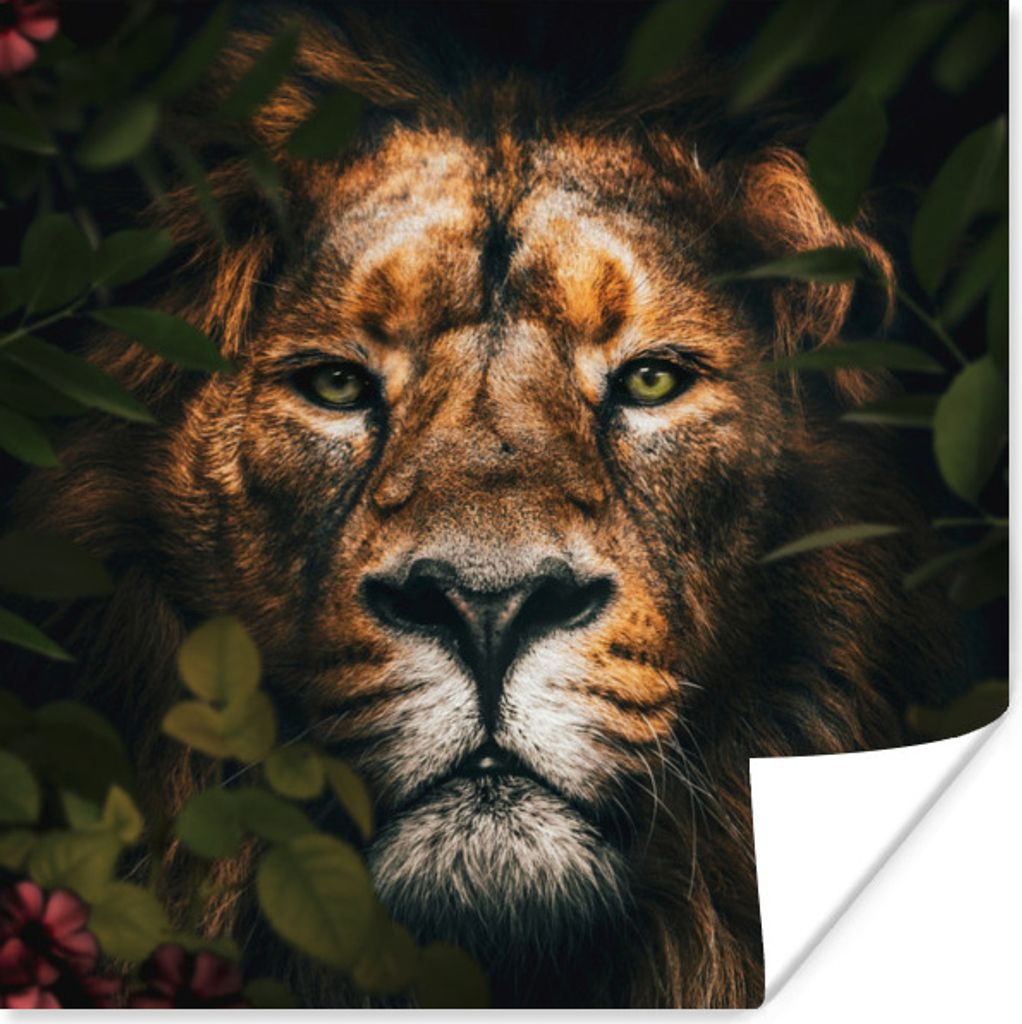 MuchoWow Poster Löwe - Tiere - Dschungel 30x30 cm - Wandposter - Printing