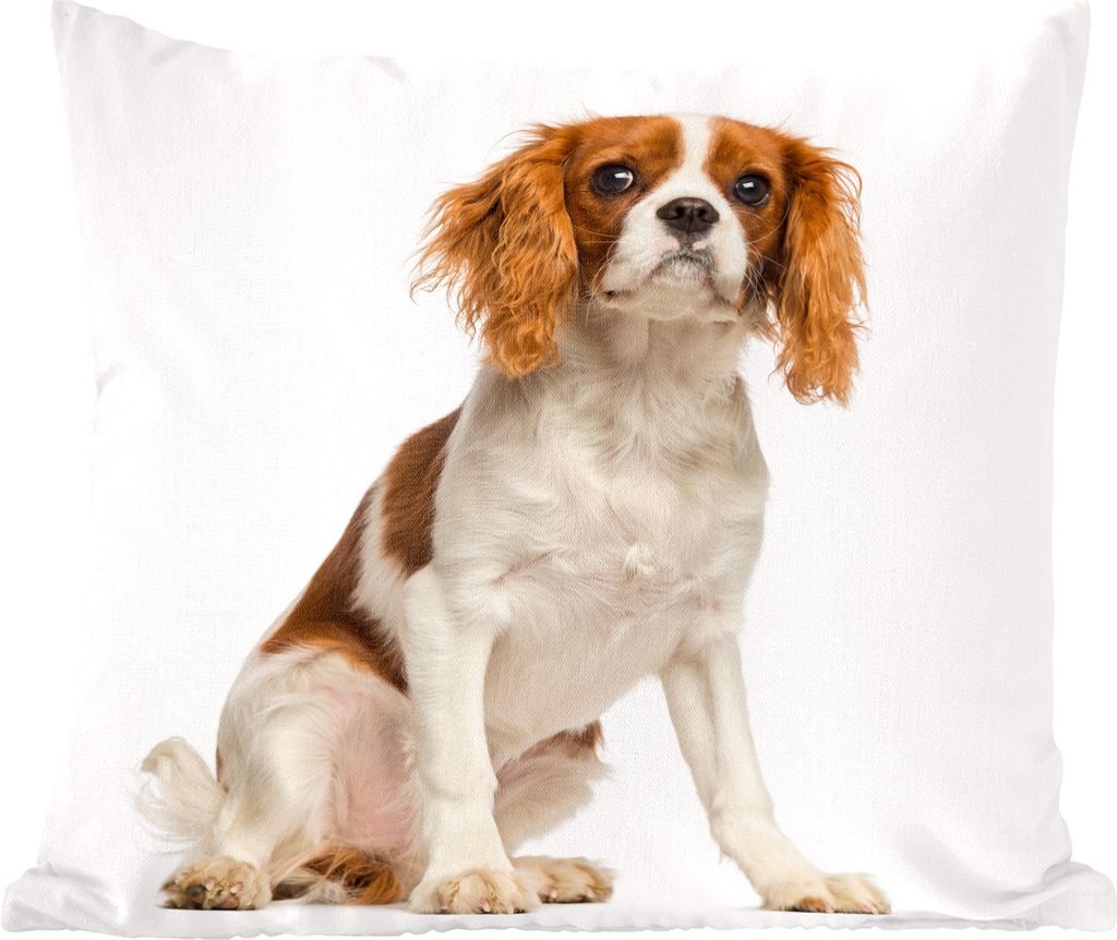 MuchoWow Zierkissen Sofakissen Wohnzimmer Dekokissen 40x40 cm Liebenswerter Cavalier King Charles Spaniel - Sofakissenbezüge - ohne füllung