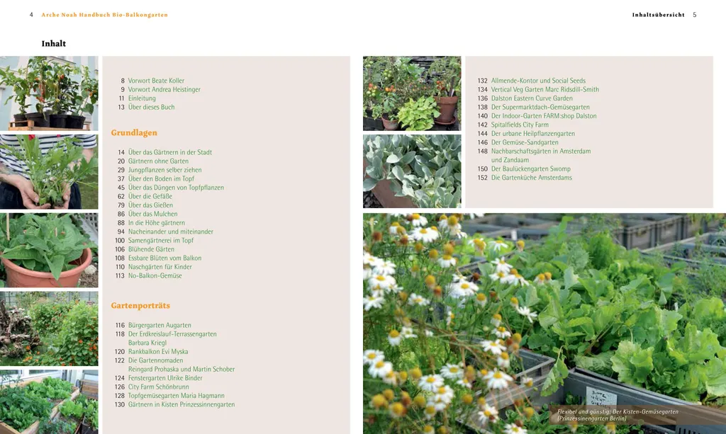 Manuel HandbuchBalkongarten : méthodes de culture bio pour petits espaces