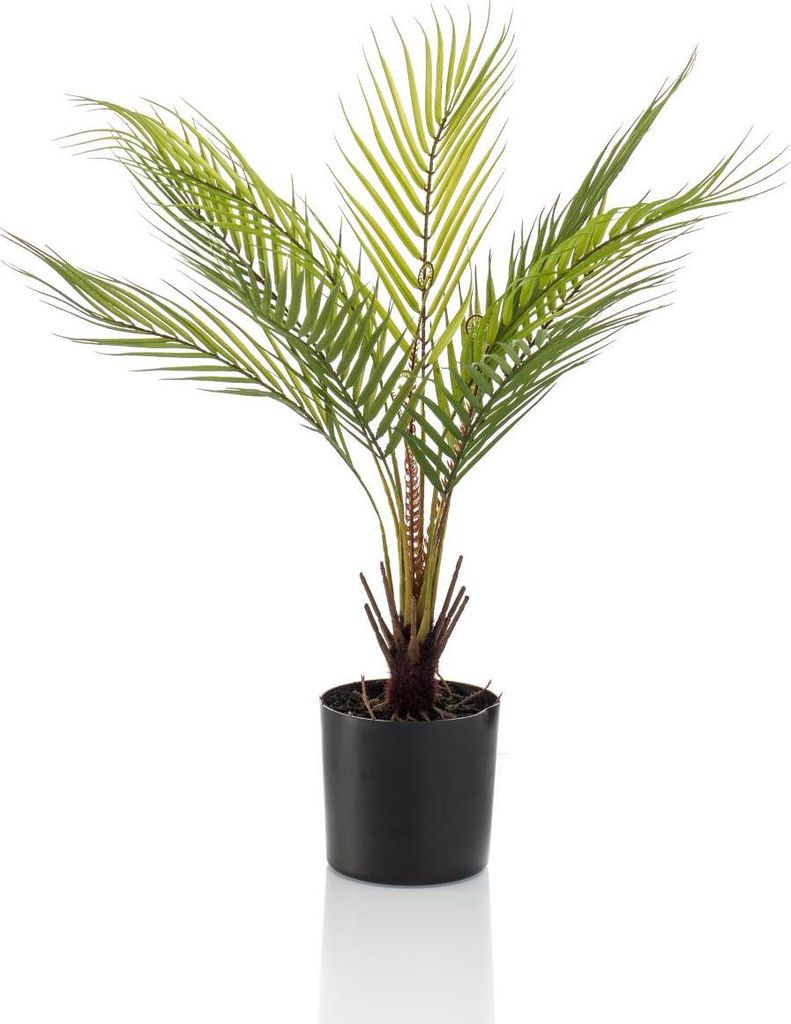 artplants.de Deko Bergpalme AIKU, 50cm - Kunststoff Palme