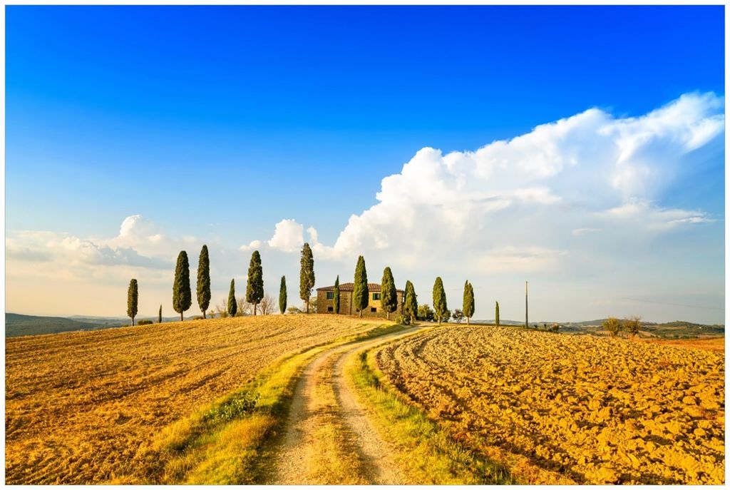 Wallario Premium Glasbild, freischwebende Optik, kräftige Farben, Größe 90 x 60 cm Motiv Italien - Toskana unter blauem Himmel einsame Farm