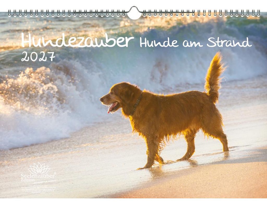 Hundezauber Hunde am Strand DIN A3 Kalender für 2027 Welpen und Hunde - Seelenzauber