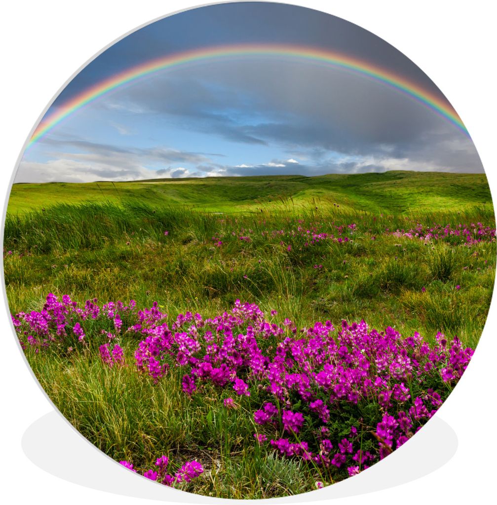 MuchoWow Rundes Wandbild - Runde Bilder Regenbogen - Blumen - Heidekraut Ø 90 cm Kreis Wanddekoration Kunststoff - Wandkreis - Wandschmuck - Wan...