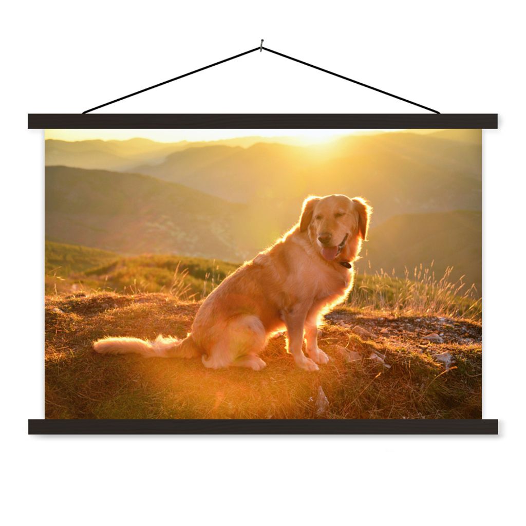 MuchoWow Textilposter Sonnenstrahlen glänzen über einem Golden Retriever 150x100 cm mit schwarzem Rahmen - Schlafzimmer