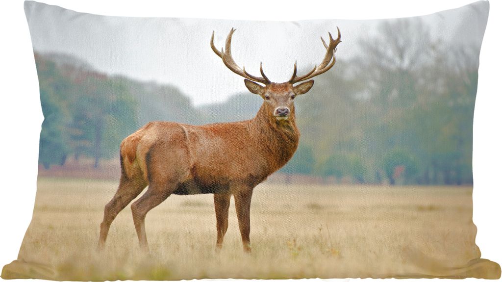MuchoWow Zierkissen Sofakissen Wohnzimmer Dekokissen 50x30 cm Hirsche - Tiere - Geweihe - Wohnzimmerdekoration - Polster mit Photo