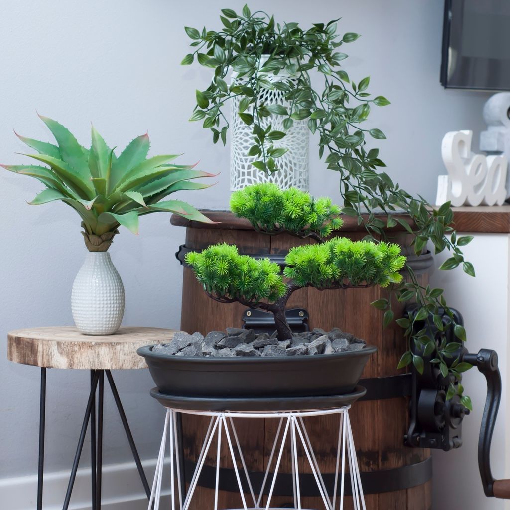 Bonsai Schale Mini Garten Keramik Blumentopf Schwarz