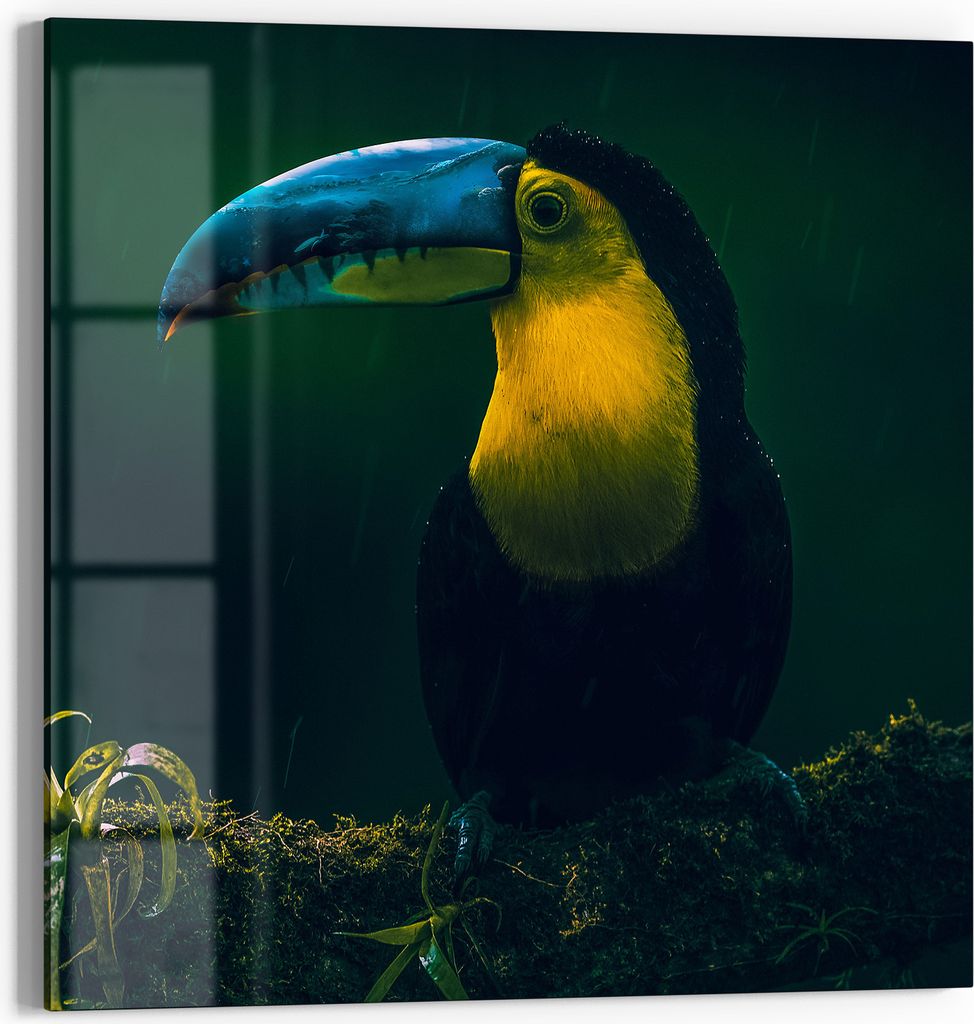 DEQORI Glasbild Acryl 50x50 cm 'Dschungelbewohner' Wandbild Bild modern Deko