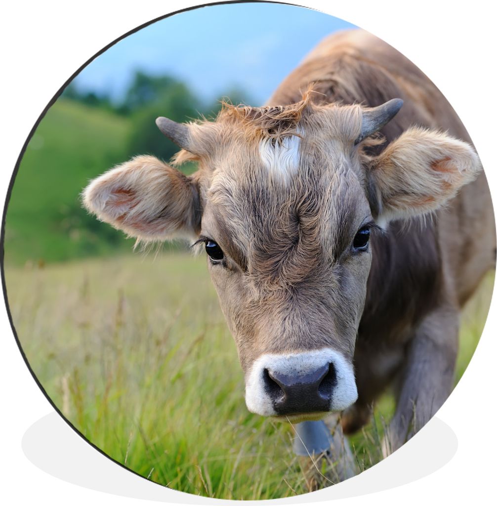 MuchoWow - Wand Kreis - Wandbild - Schlafzimmer - Aluminium Bild - Kinderzimmer - Wohnzimmer Dekoration - Wandschmuck