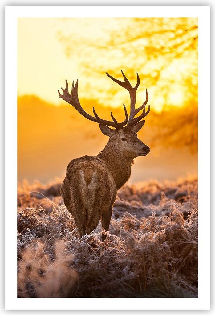 Poster - Poster ohne Rahmen - Herbst landschaft natur blatt - 61x91,5 cm - Wand Bild - Wanddeko - Wandbilder - Kunstposter - Wandposter - Bilder - ...