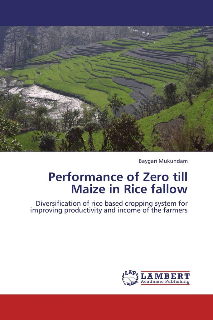 Performance of Zero till Maize in Rice fallow