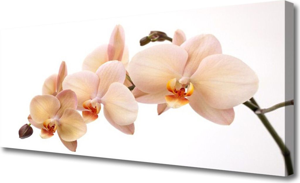 Tulup Leinwand-Bilder 125x50 Wandbild Canvas Kunstdruck Blumen Pflanzen