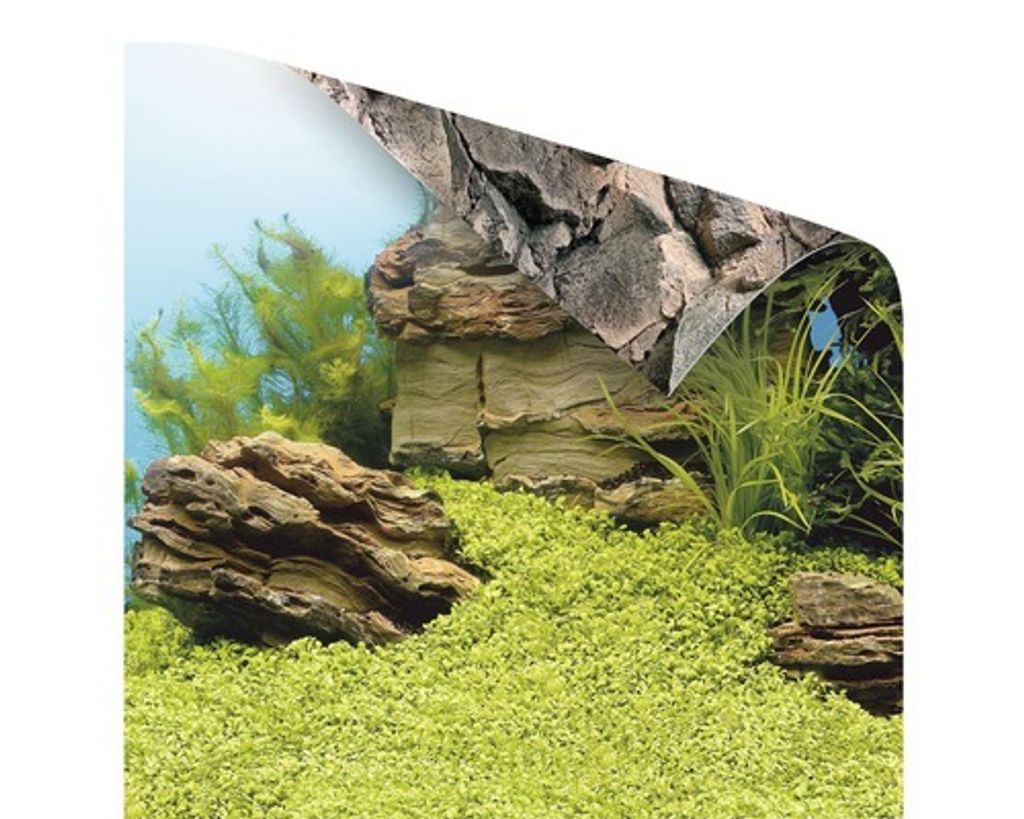 Tylny plakat ścienny JUWEL rośliny/skały 150x60 cm Zdjęcie produktu 5