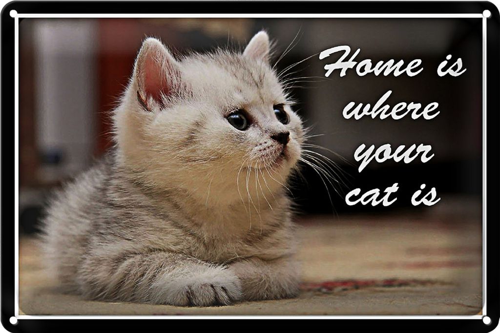 Blechschild Spruch 40x30cm Katze Home is where your cat