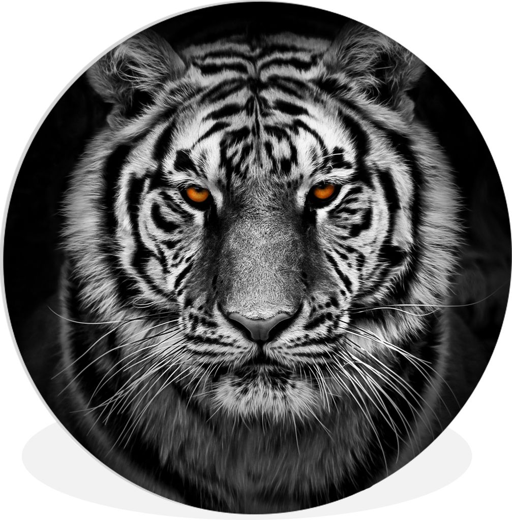 MuchoWow - Schlafzimmer - Bilder - Der Kreis - Kunst für die Wohnung - Plastik - Kunstdruck - Wandbild