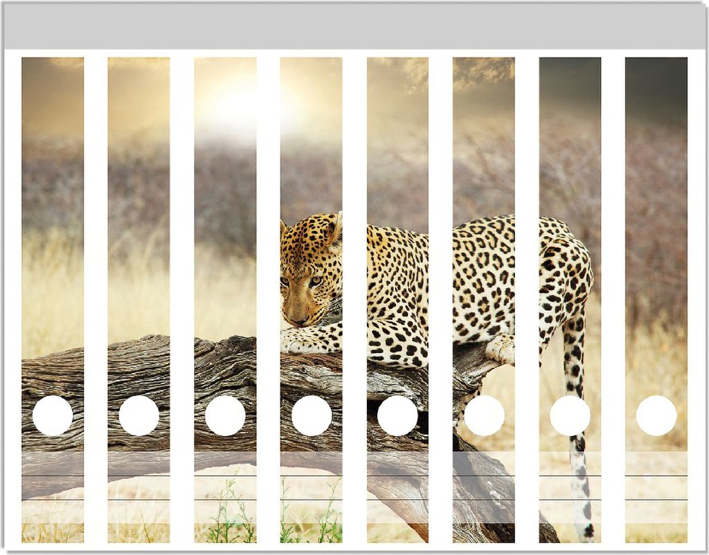 Wallario Ordnerrücken Sticker, selbstklebend für schmale Ordner, 8 Stück, Motiv Leopard auf Baumstamm in Afrika