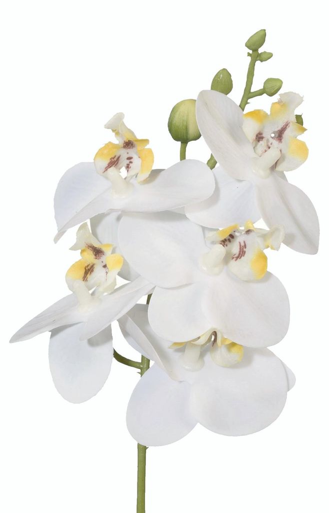 Kunstblume Phalaenopsis, Orchideenzweig 27cm. Real Touch. Weiß WEISS