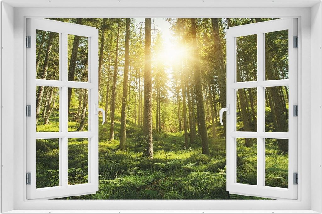 Wallario Wandbild mit Fenster-Illusion: Sonnenstrahlen im Nadelwald mit Moos und Farn, Größe: 61 x 91,5 cm, Poster mit rahmenlosen Bildhalter