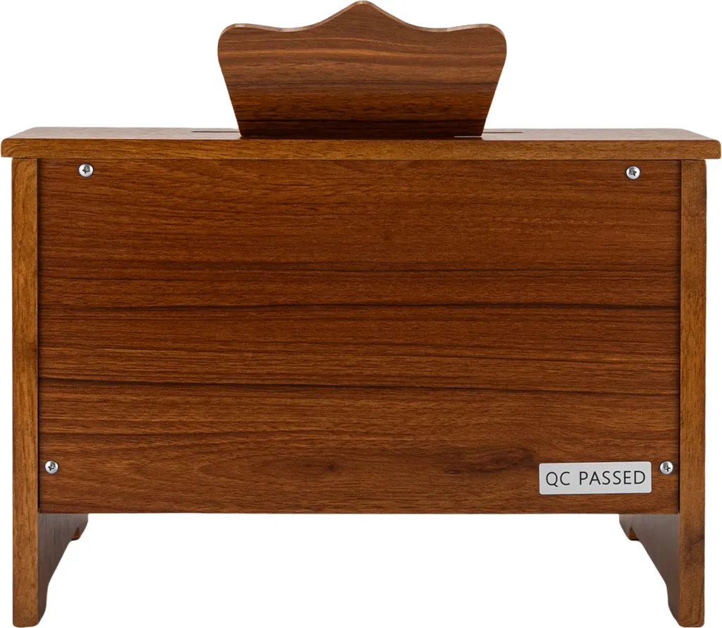 Apprendre le piano facilement : Modèle bois 25 touches pour débutant