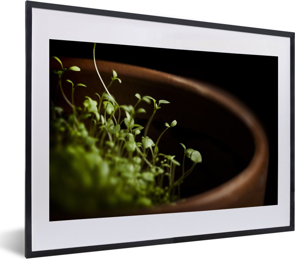 MuchoWow Gerahmtes Poster Pflanzung von Thymian in einem Tontopf 40x30 cm - Poster mit Schwarzem Bilderrahmen Wandposter Rahmen Foto Bilder - Bil...