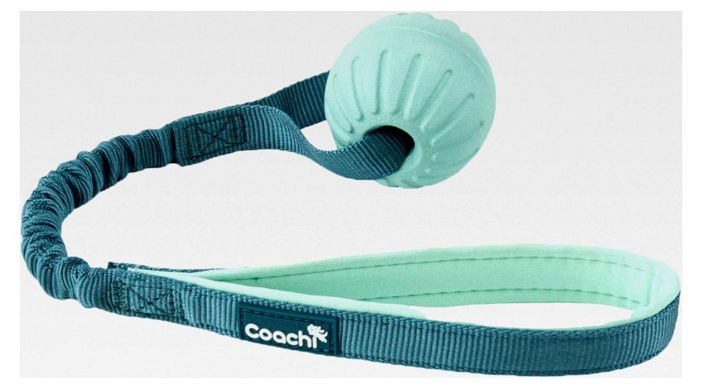 Puppy & Mini Tuggi Ball, Leichtes und Robustes Hundespielzeug mit Dehnbarem Bungee-Griff, Geeignet für Alle Hunde und Welpen, Belohnungstraining, ...