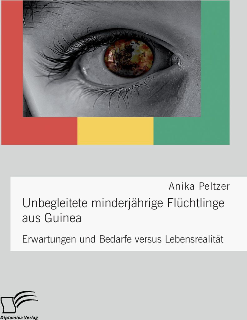 Unbegleitete minderjährige Flüchtlinge aus Guinea. Erwartungen und Bedarfe versus Lebensrealität