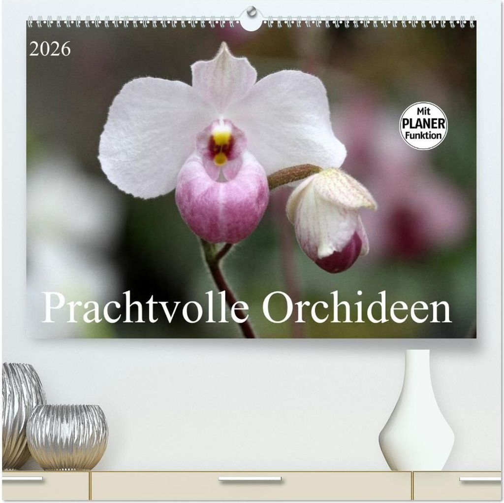 Prachtvolle Orchideen (hochwertiger Premium Wandkalender 2026 DIN A2 quer), Kunstdruck in Hochglanz